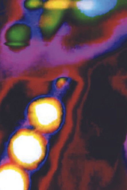 Abstract Window Image moviezwap