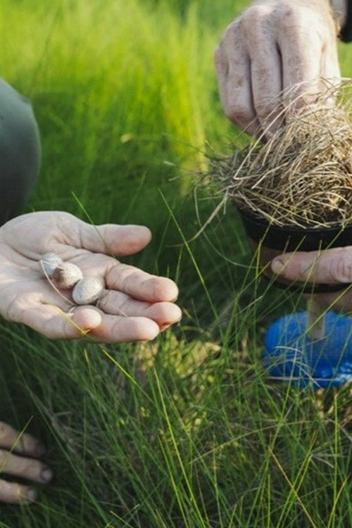 Between Moon Tides moviezwap