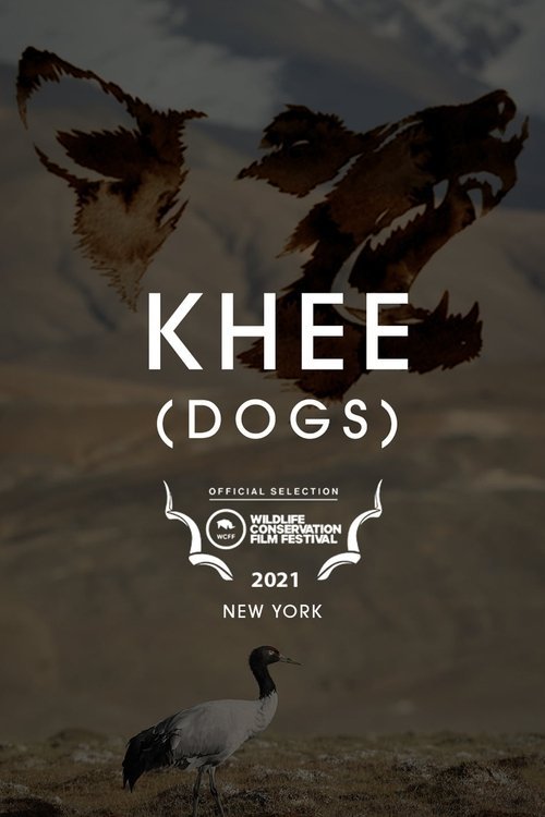 Dogs bollyflix filmywap