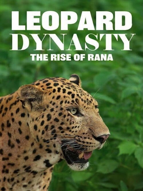 Leopard Dynasty – The Rise of Rana moviezwap