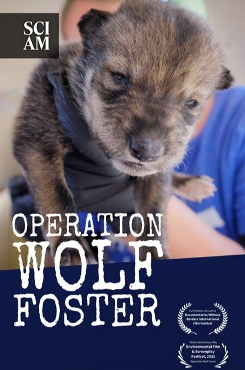 Operation Wolf Foster moviezwap