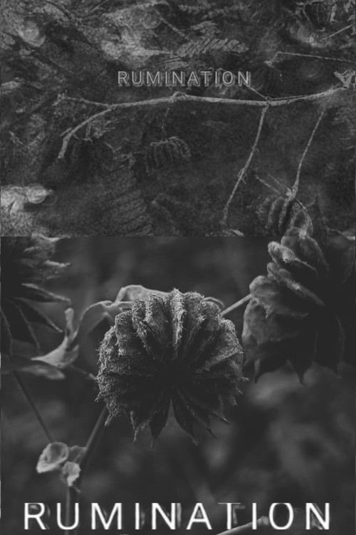 RUMINATION moviezwap