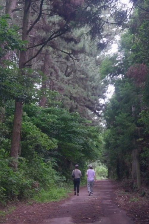 The Time of Jeju moviezwap