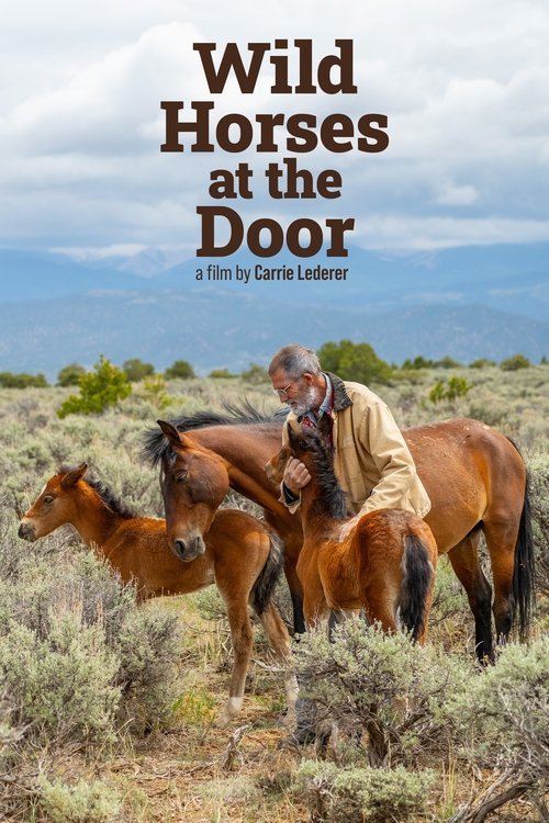 Wild Horses at the Door moviezwap
