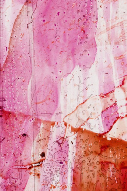 Xtended Release moviezwap