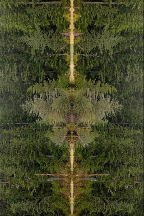 Mirrorpond