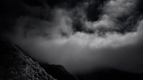 A Blank Frame