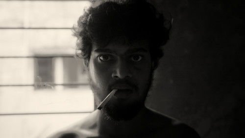 A Fly Floating In The Midst Of The Milk