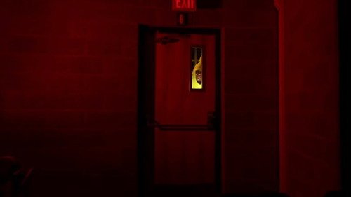 Banana: The Whole Bunchy Affair