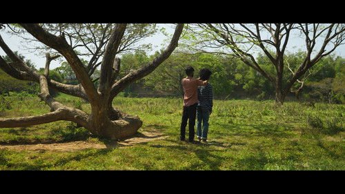 Everything is More Beautiful Because We're Doomed