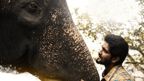 Kumki 2
