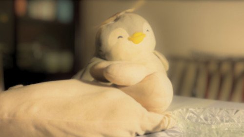 Prisoner On The Island