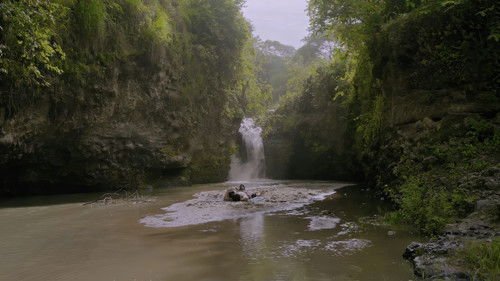 Salikmata