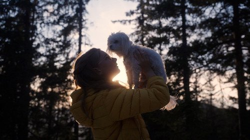 Small Dogs Bark Loud