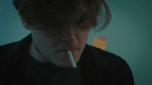 The Second Assignment