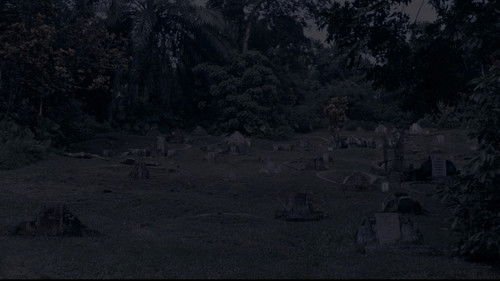 Where Have You Gone, Girl?