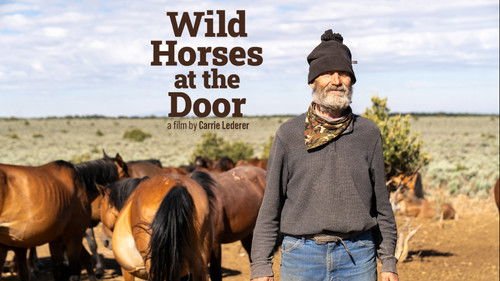 Wild Horses at the Door